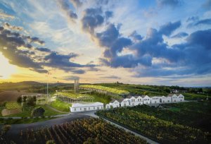 001_vinarstvi_winery